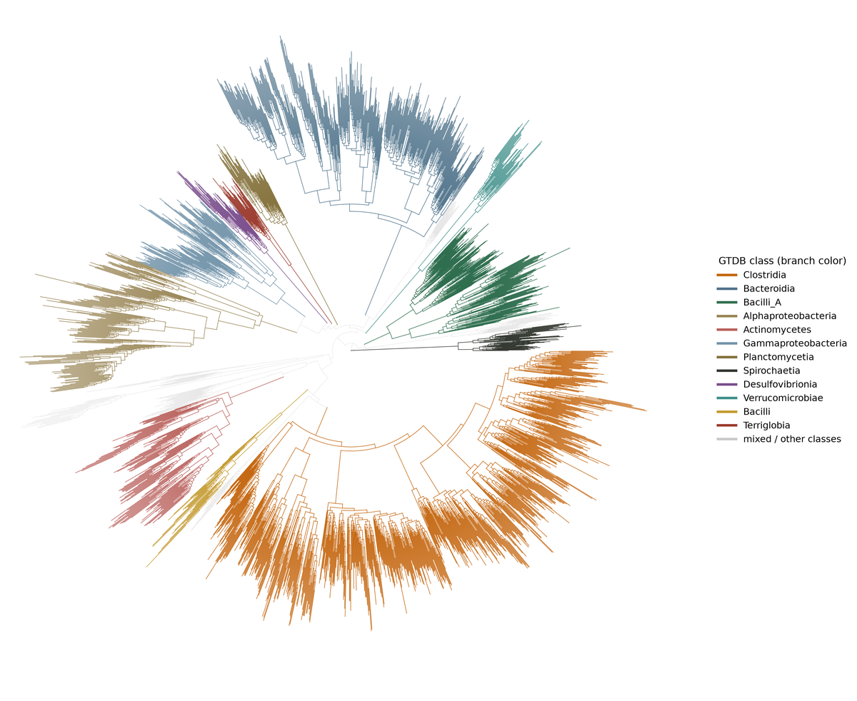 Circular GTDB phylogenetic tree of 2,395 bacterial species, branches colored by class
